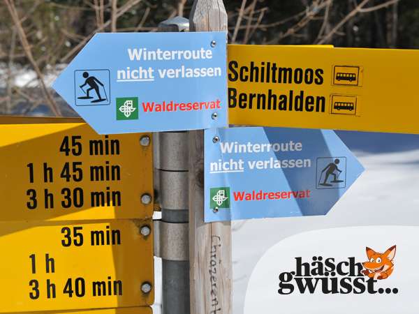 Serie «Wald als Mulitalent» - Teil 4