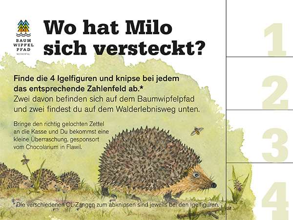 Tschüss Split - Sali Milo