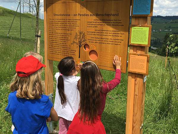 Die perfekte Schulreise