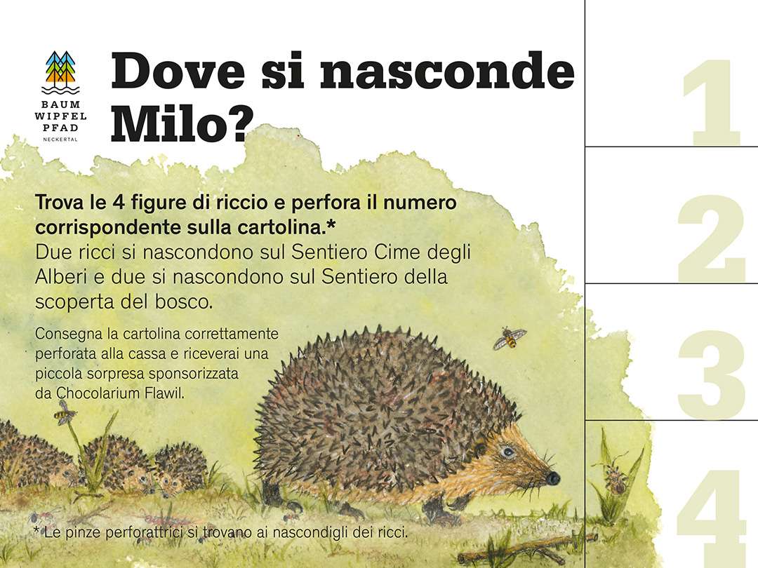 Dove si nasconde Milo?
