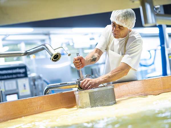 Bäumige Traditionen