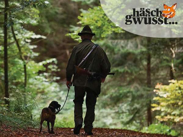 Wald und Wild
