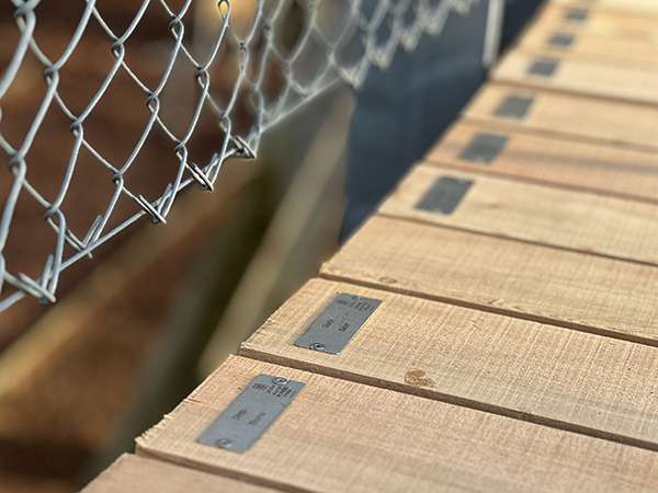 Ihre eigene Bohle auf dem Baumwipfelpfad