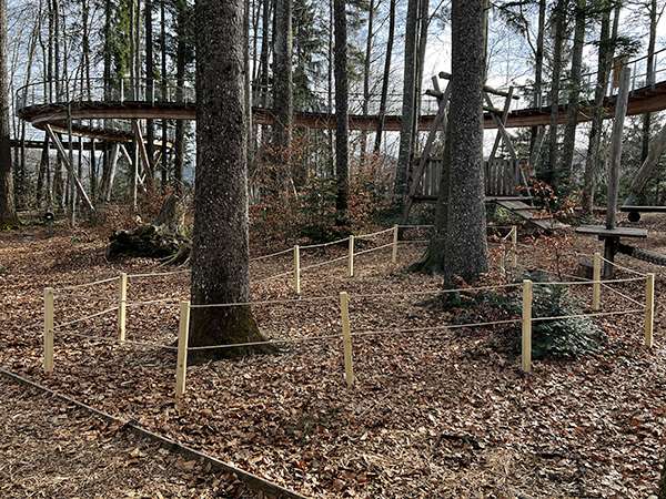 Jungwald für die Zukunft