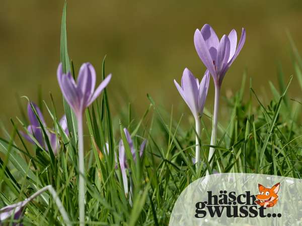 Übergang in den Herbst