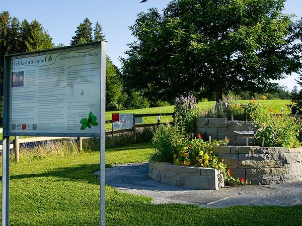 Waldkraft & Weitblick