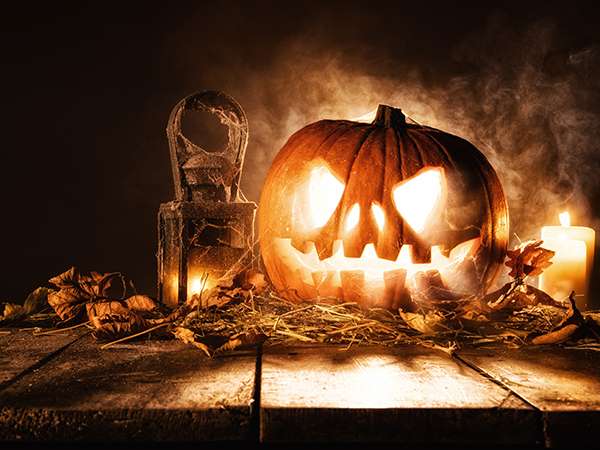 Herbstevent auf dem Baumwipfelpfad