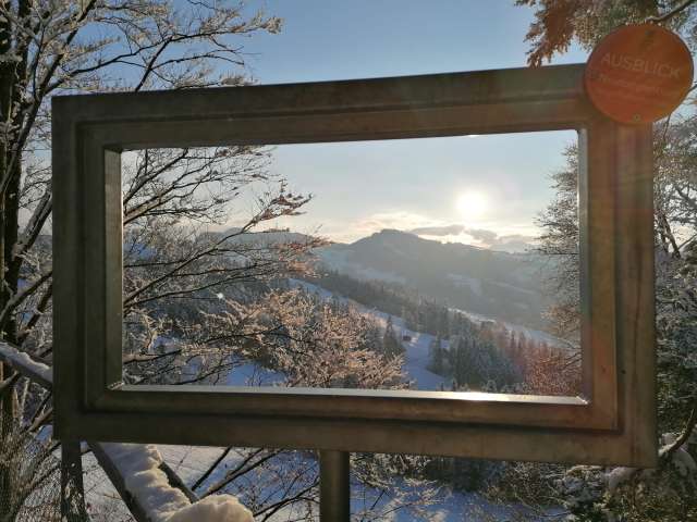 Gruppen- & Carreisen