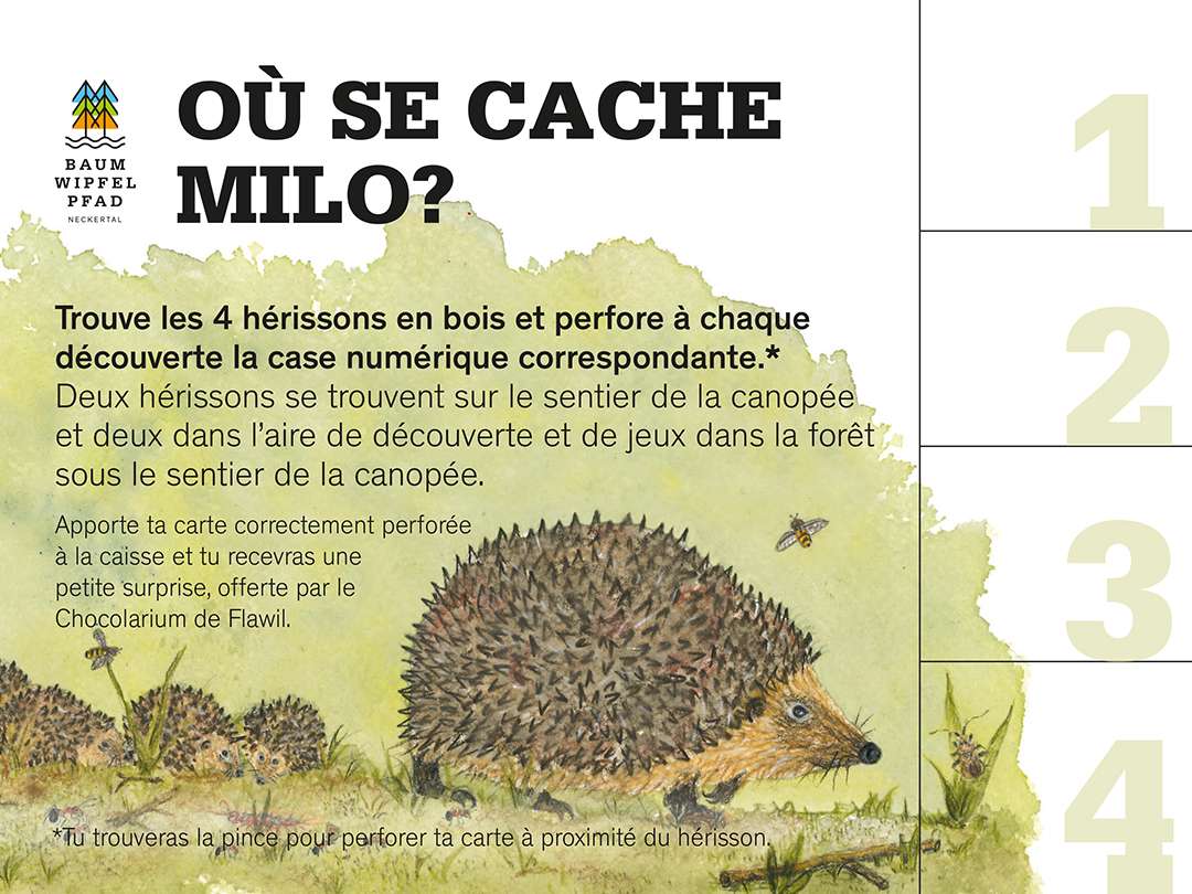 Où se chache Milo? Où se chache Milo?