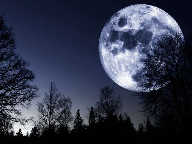 Einzigartiges Mond-Picknick